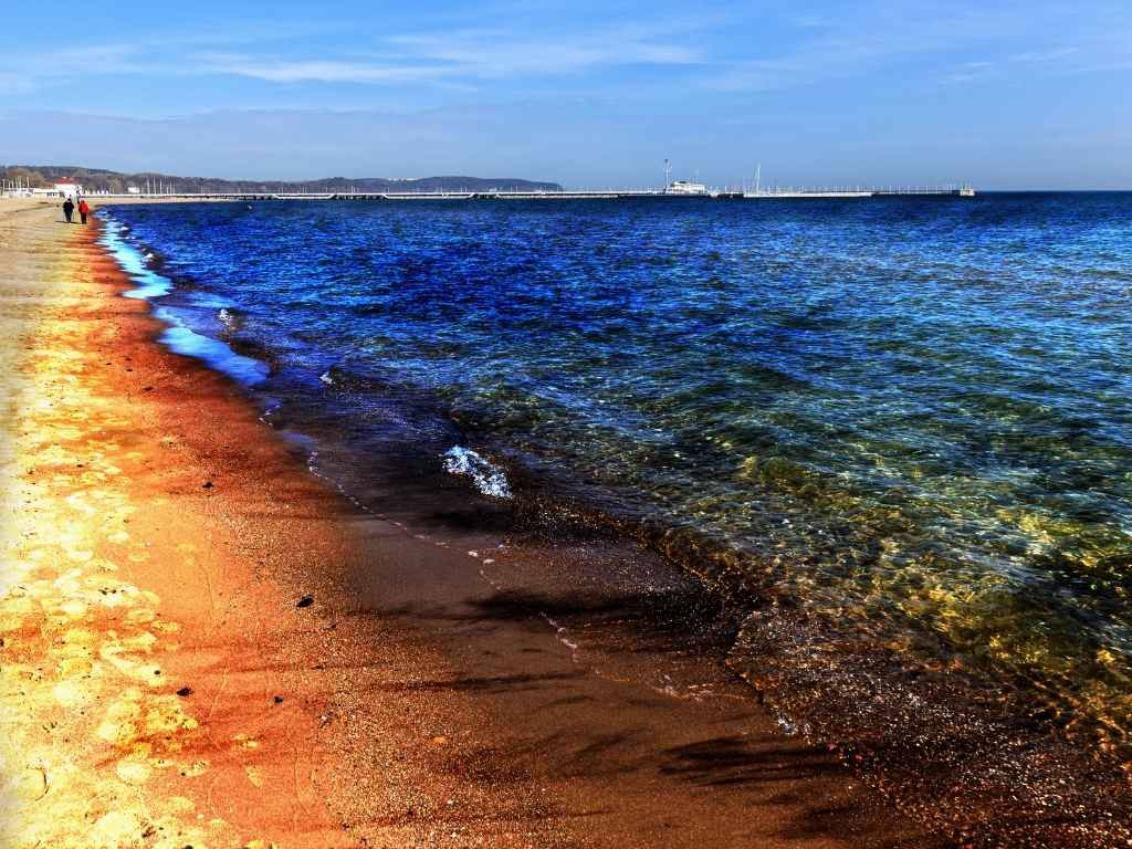 تأثير انسكابات النفط في بحر الكاريبي وحلول فعالة للتنظيف