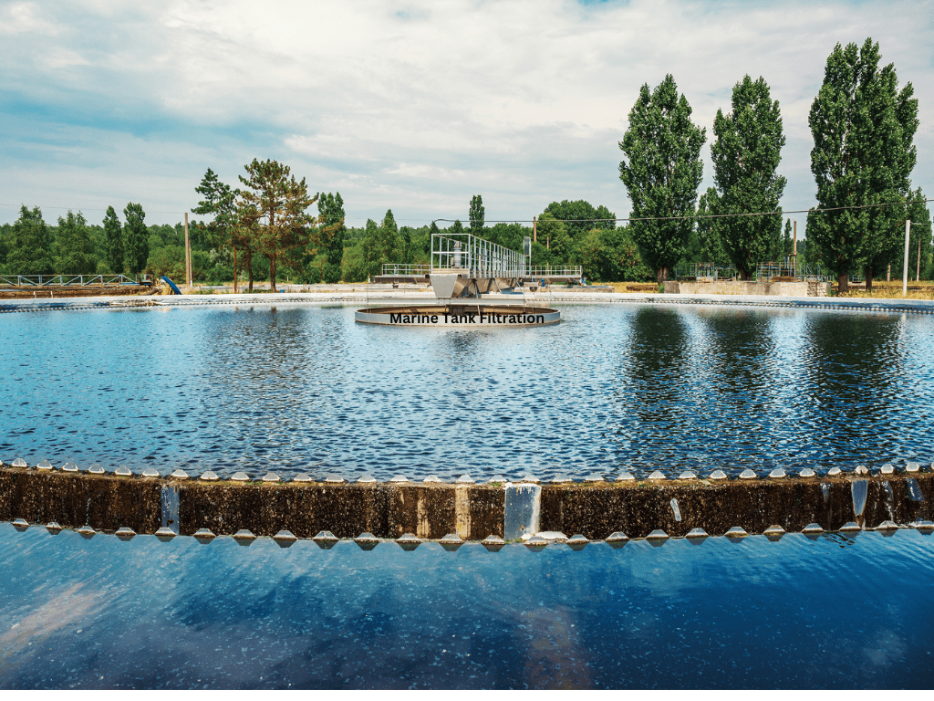 ترشيح أحواض المياه المالحة: الدليل الشامل للعناية بحوض الأسماك البحرية