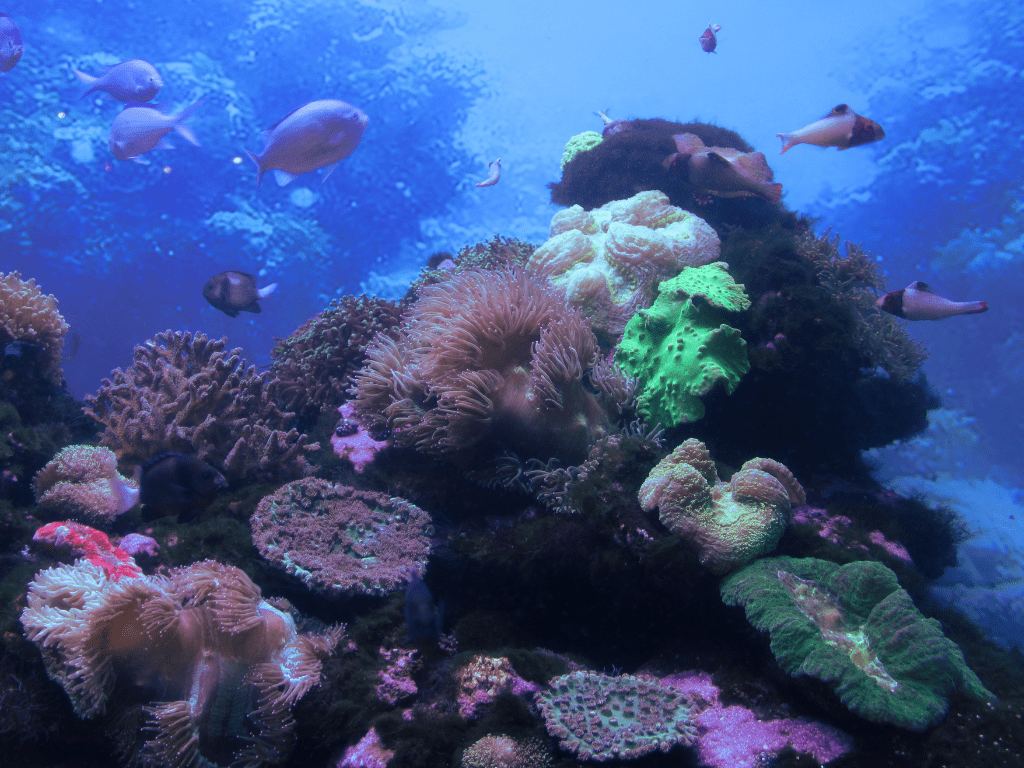 كيف يؤثر تسرّب النفط على صناعة الصيد؟ دليل شامل