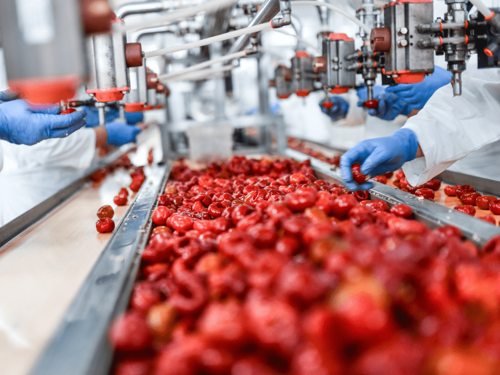 كيف يمكن لمصانع معالجة الأغذية الحفاظ على النظافة باستخدام المنظفات غير