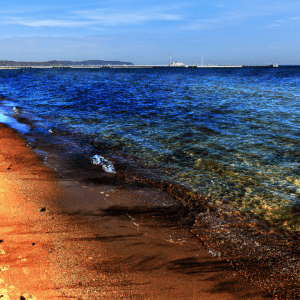 AQUAQUICK 2000: دليل شامل عن إزاي تنظف تسربات النفط