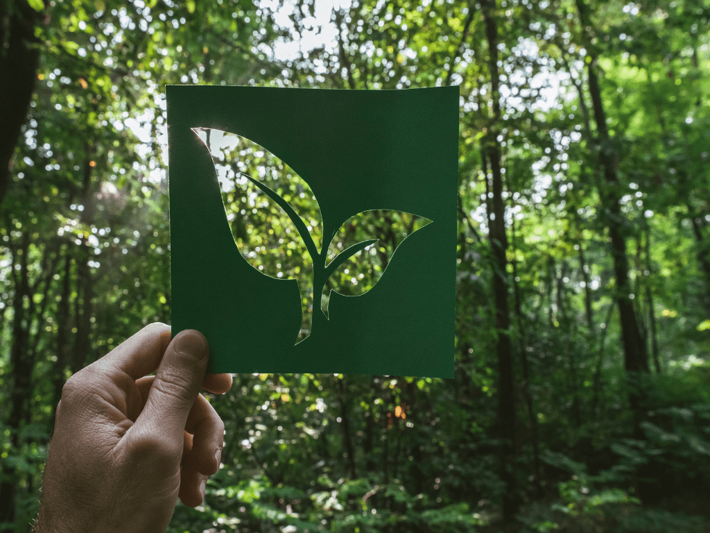 كيف تُحدث عوامل التنظيف القابلة للتحلل الحيوي ثورة في مجال التنظيف الصناعي